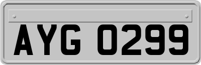 AYG0299