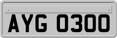 AYG0300