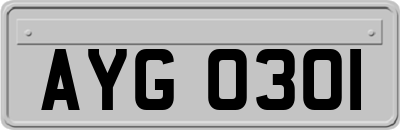 AYG0301
