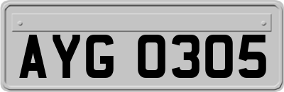 AYG0305