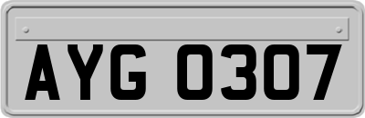 AYG0307
