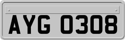 AYG0308