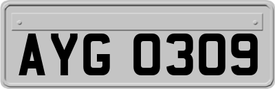 AYG0309