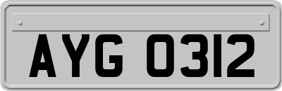 AYG0312