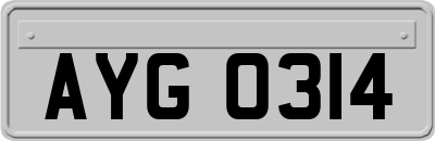 AYG0314