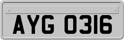 AYG0316
