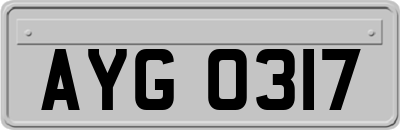 AYG0317
