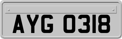 AYG0318