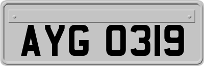 AYG0319