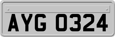 AYG0324
