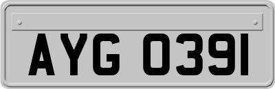 AYG0391