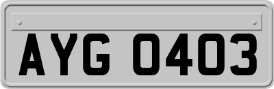 AYG0403