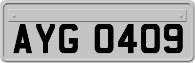 AYG0409