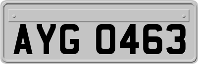 AYG0463