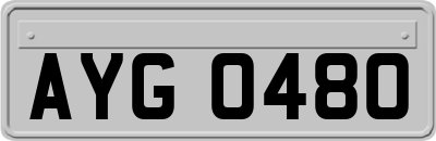 AYG0480