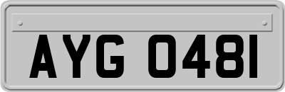 AYG0481