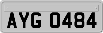 AYG0484