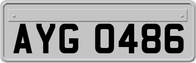 AYG0486