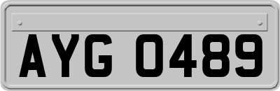 AYG0489