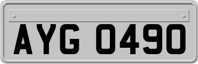 AYG0490