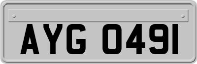 AYG0491