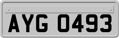 AYG0493