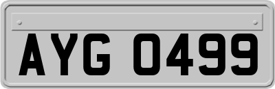 AYG0499