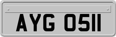 AYG0511