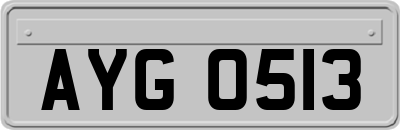 AYG0513