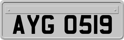 AYG0519