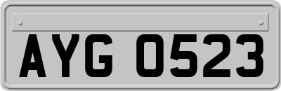 AYG0523