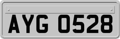 AYG0528