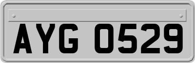 AYG0529