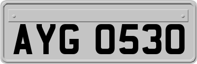 AYG0530