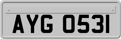 AYG0531