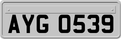 AYG0539