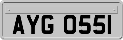 AYG0551