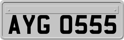 AYG0555