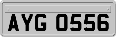 AYG0556