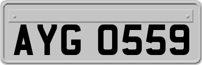 AYG0559