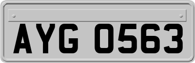 AYG0563