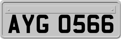 AYG0566