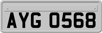 AYG0568