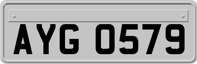 AYG0579