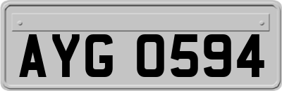AYG0594