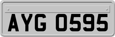 AYG0595