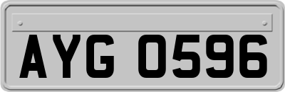 AYG0596