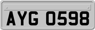 AYG0598