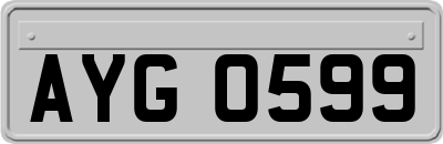 AYG0599