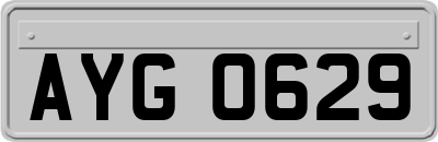AYG0629
